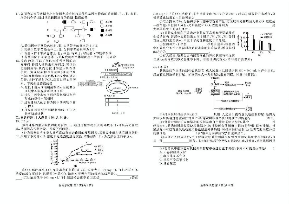 2025届湖北省十堰市高三下学期5月份适应性考试生物试题（高考模拟）第3页