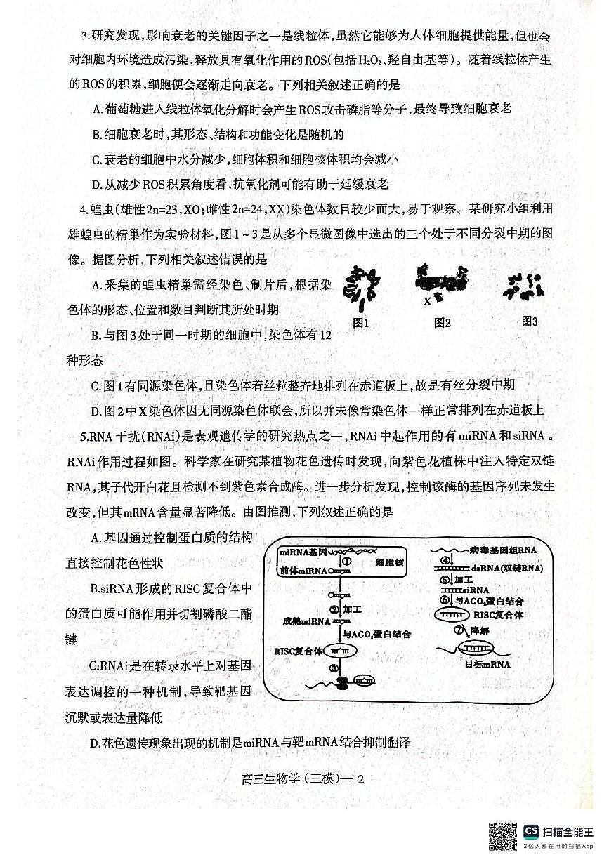 2025届辽宁省辽南协作体高三下学期第三次模拟生物试卷（高考模拟）第2页