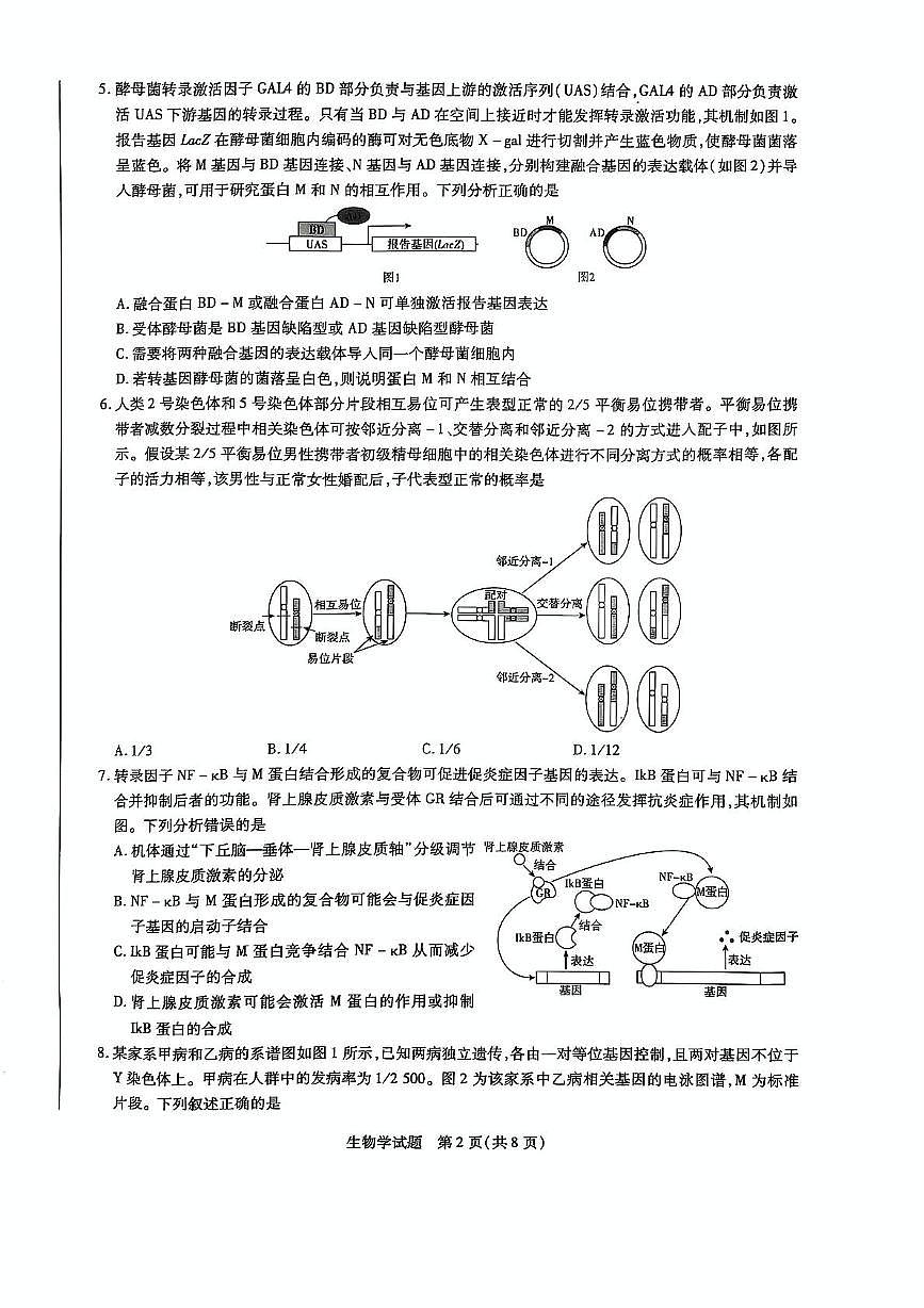 2025届山东省聊城市天一大联考·齐鲁名校教研共同体高三５月联考生物试题（高考模拟）第2页