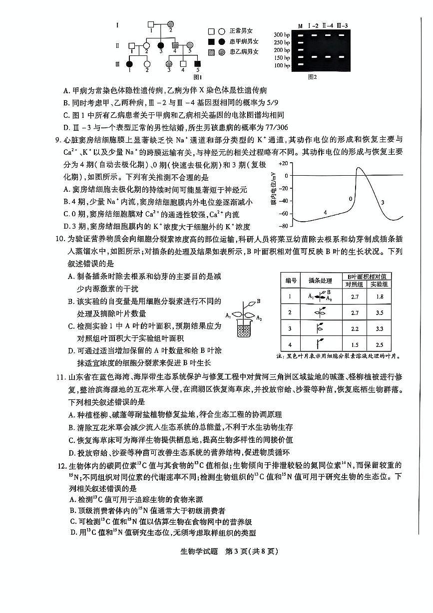 2025届山东省聊城市天一大联考·齐鲁名校教研共同体高三５月联考生物试题（高考模拟）第3页