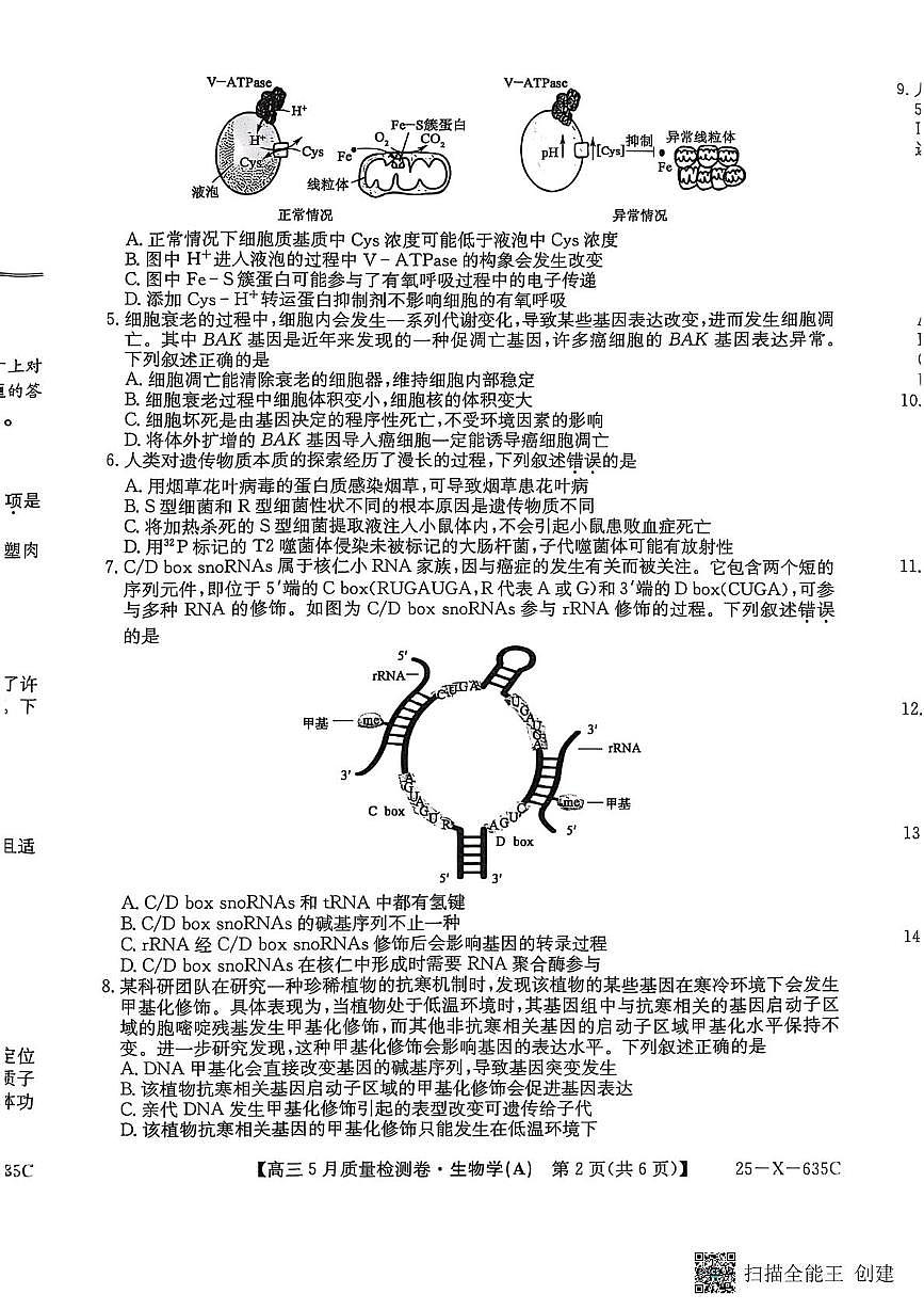 2025届山西省大同市高三三模生物试题（高考模拟）第2页