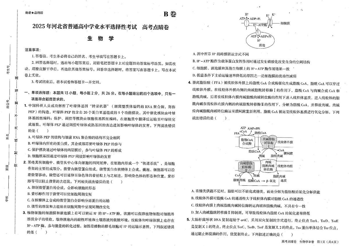 2025年河北省普通高中学业水平选择性考试生物生物高考点晴卷B（高考模拟）第1页