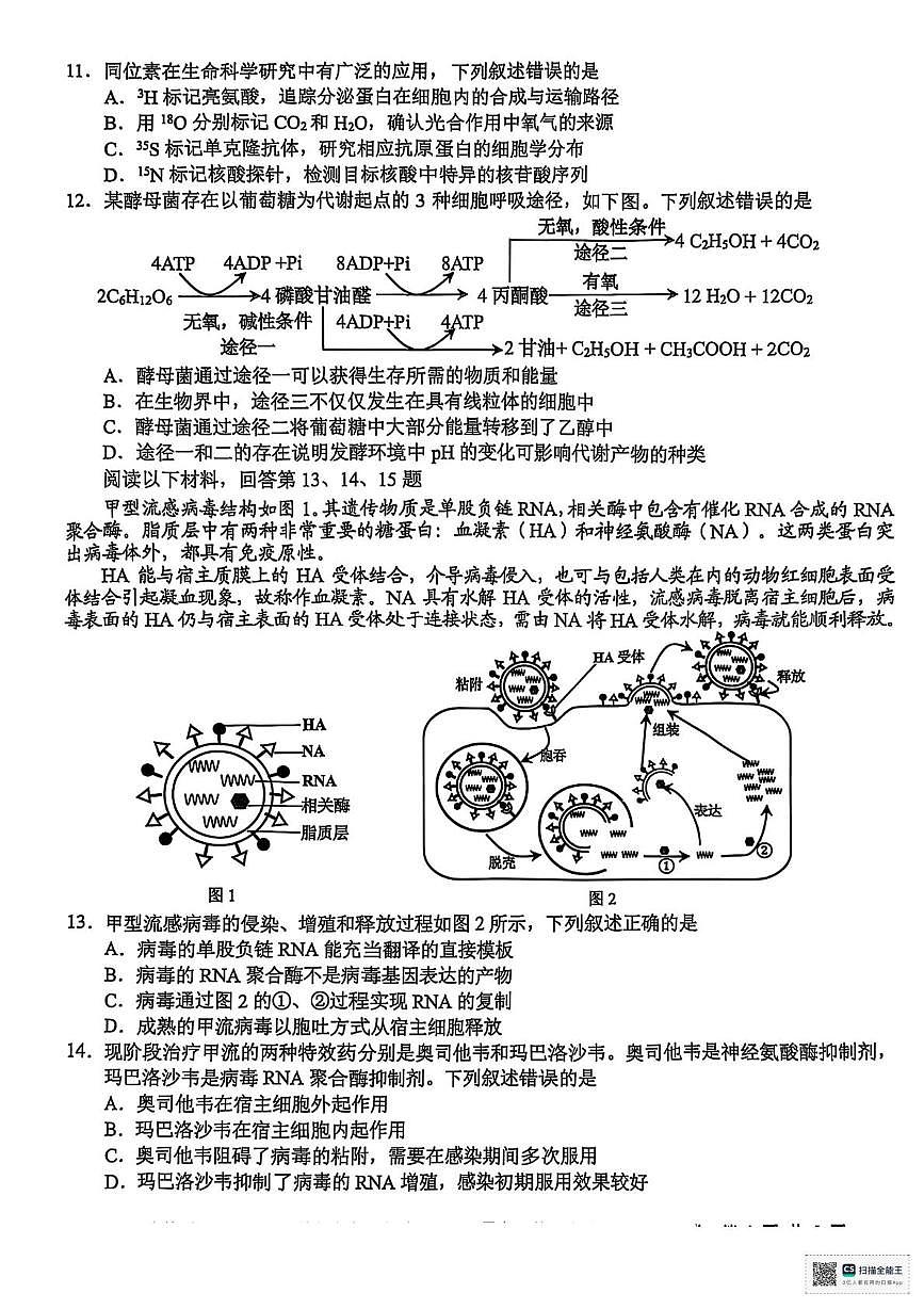 2025届浙江省Z20联盟高三三模生物试题（高考模拟）第3页
