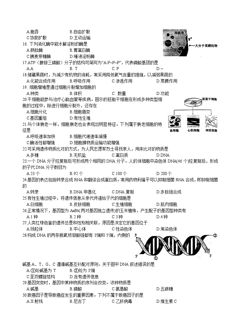 2024年7月黑龙江省普通高中学业水平合格性考试生物试卷（高考模拟）第2页