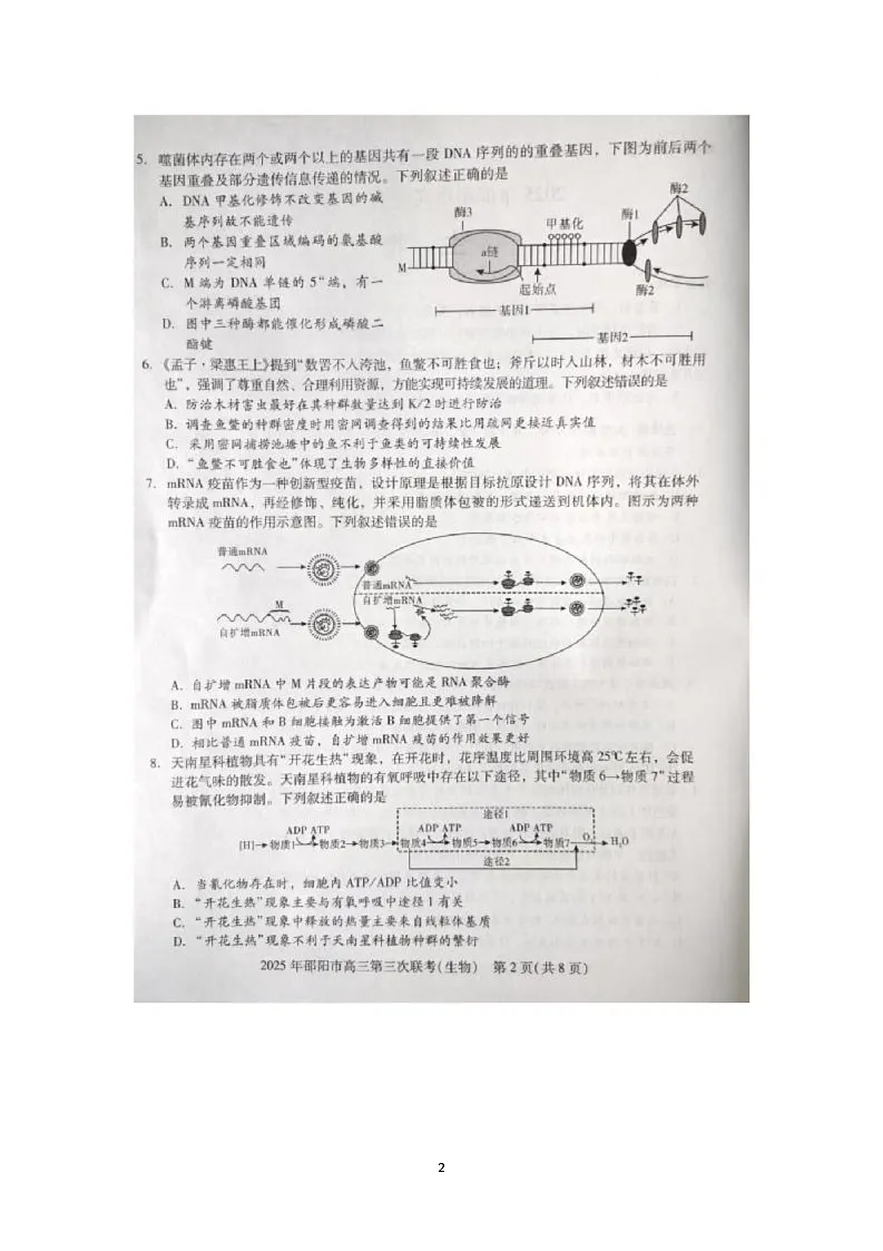 2025届湖南省邵阳市大联考三模生物试题（高考模拟）第2页