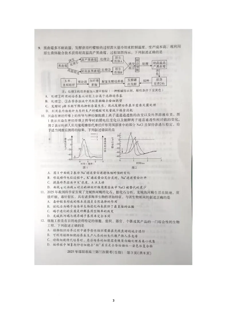 2025届湖南省邵阳市大联考三模生物试题（高考模拟）第3页