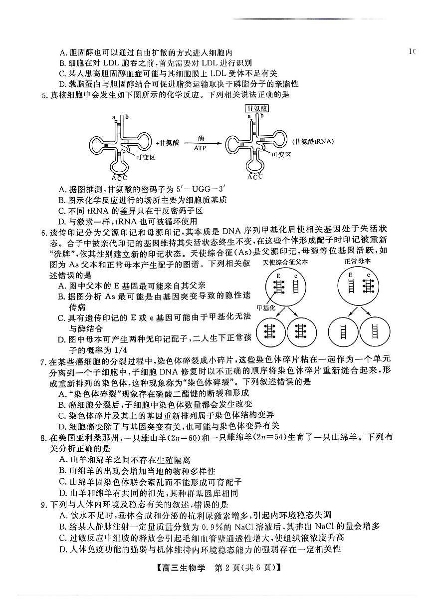 2025年河南省高三下学期华师联盟5月联考生物试卷第2页