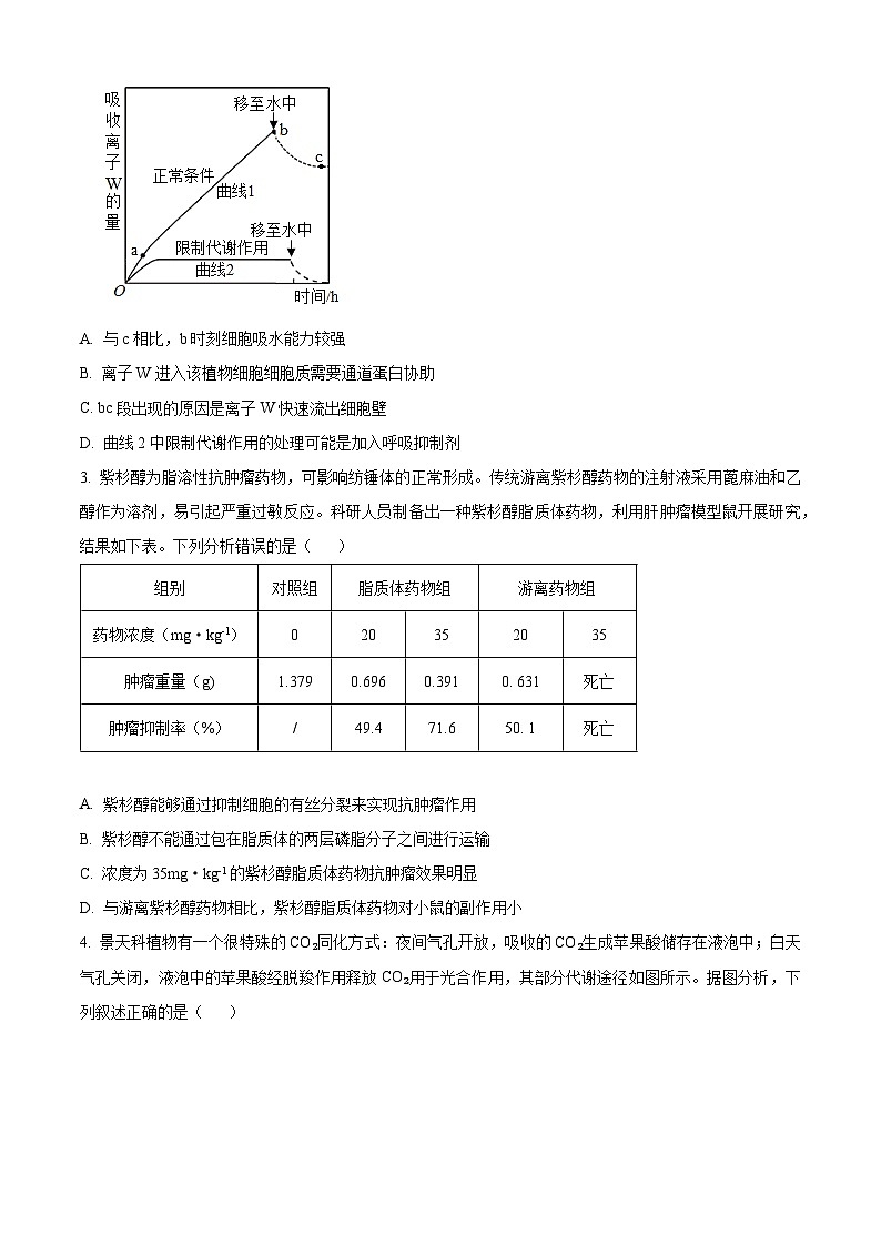 山东省实验中学2024届高三上学期第二次诊断考试生物试题  含答案第2页