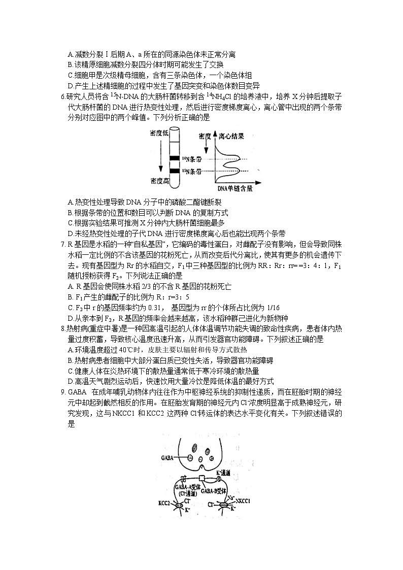 山东省烟台市2022-2023学年高三上学期期末学业水平诊断生物试题 附答案第2页
