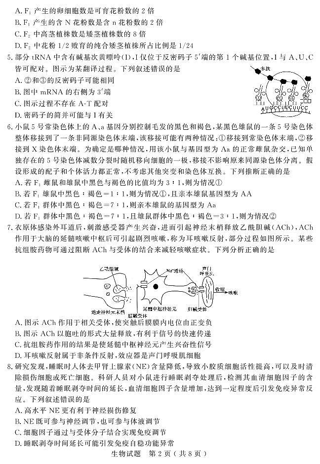 2025届山东省济宁市高三三模 生物试题及答案第2页