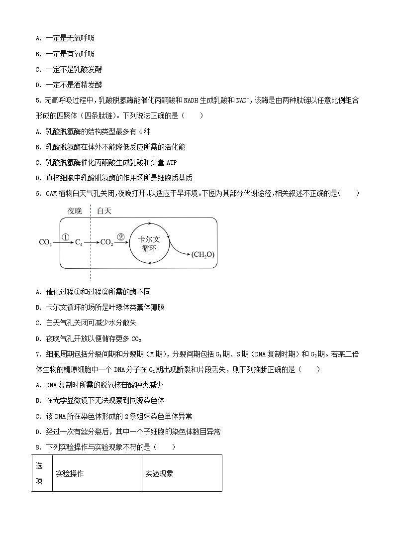 北京市丰台区2023_2024学年高二生物下学期7月期末考试含解析第2页