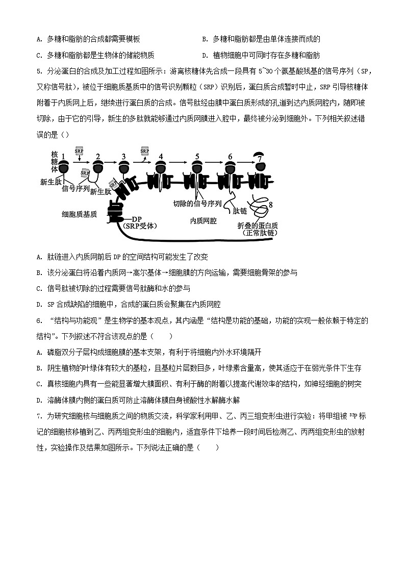 河南省南阳市2023_2024学年高二生物下学期期末考试含解析第2页