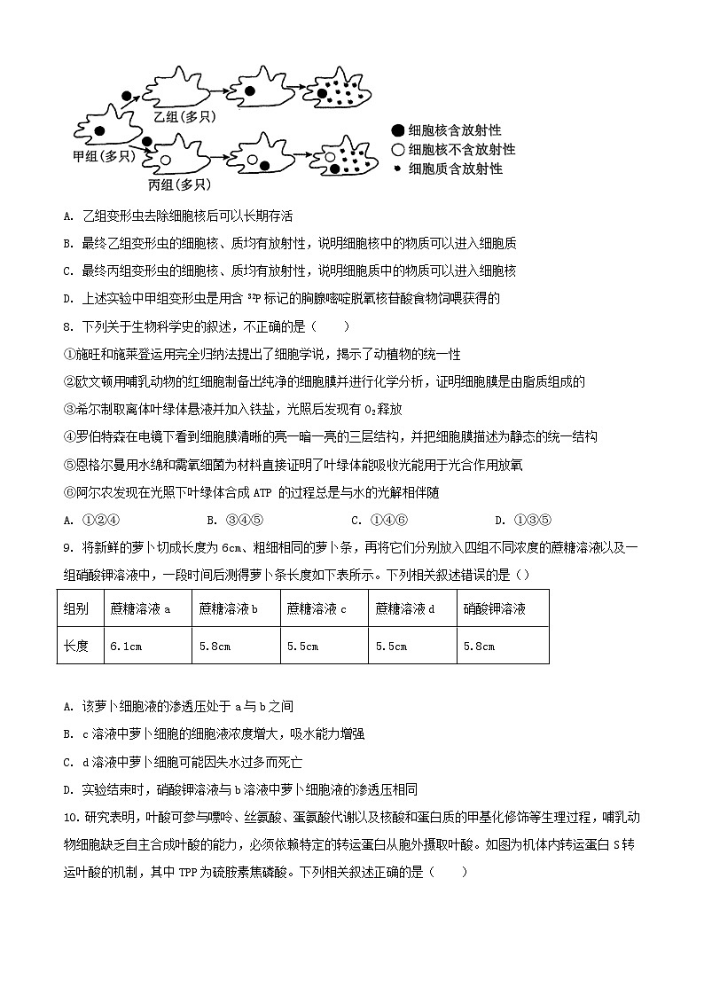 河南省南阳市2023_2024学年高二生物下学期期末考试含解析第3页