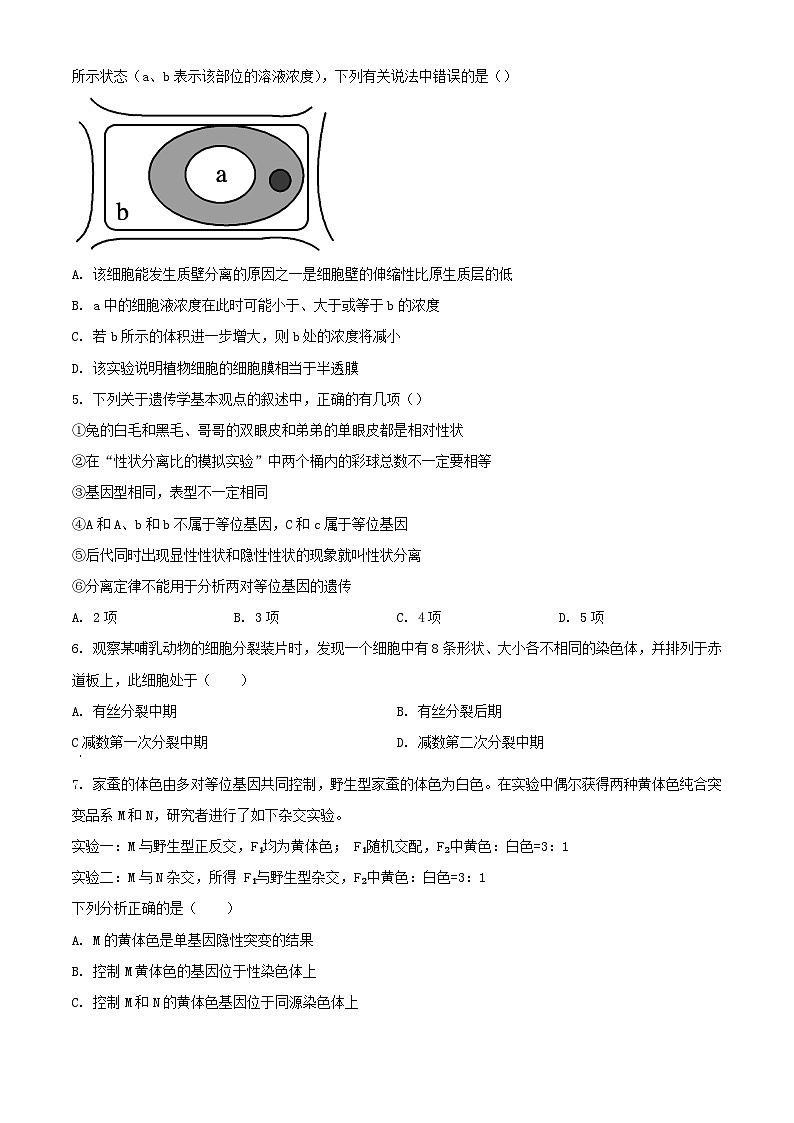 河南省驻马店市2023_2024学年高一生物下学期7月期末考试含解析第2页