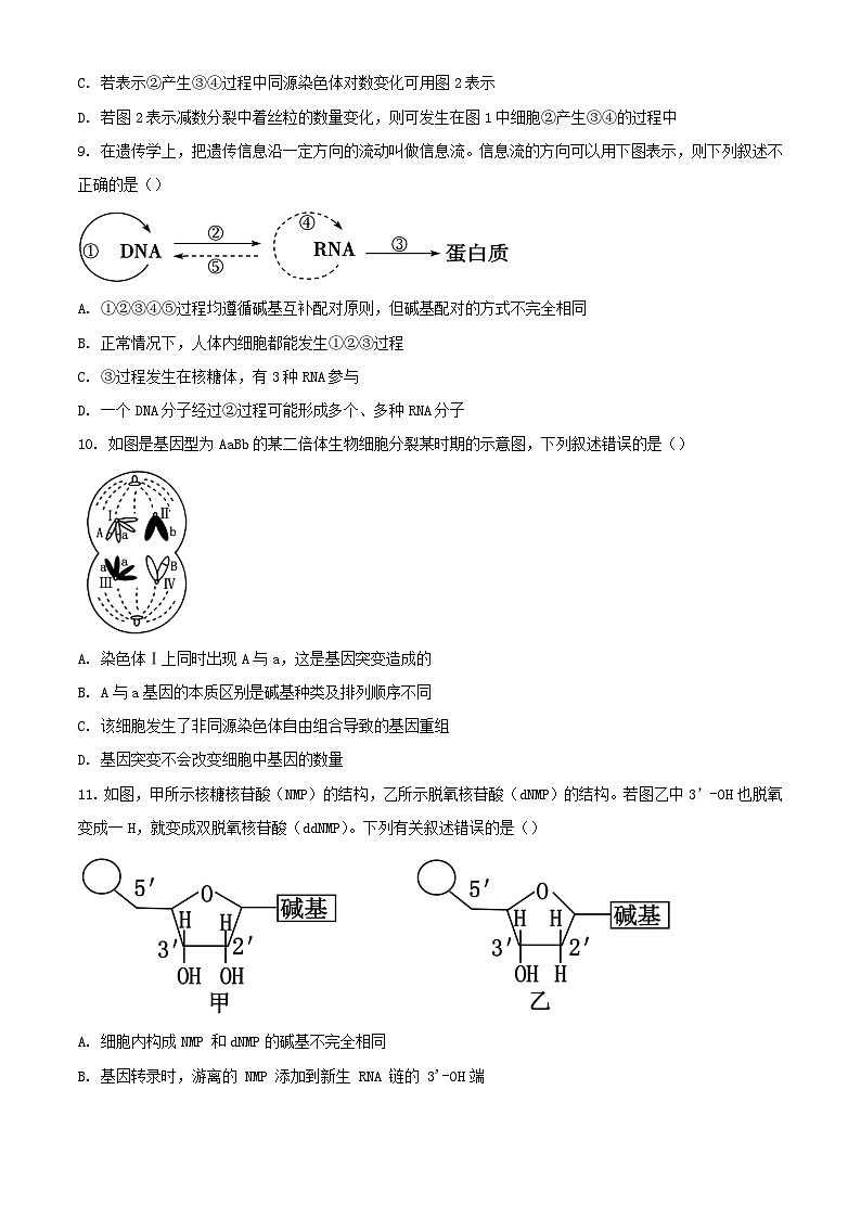 吉林省白山市2023_2024学年高一生物下学期7月期末考试含解析第3页