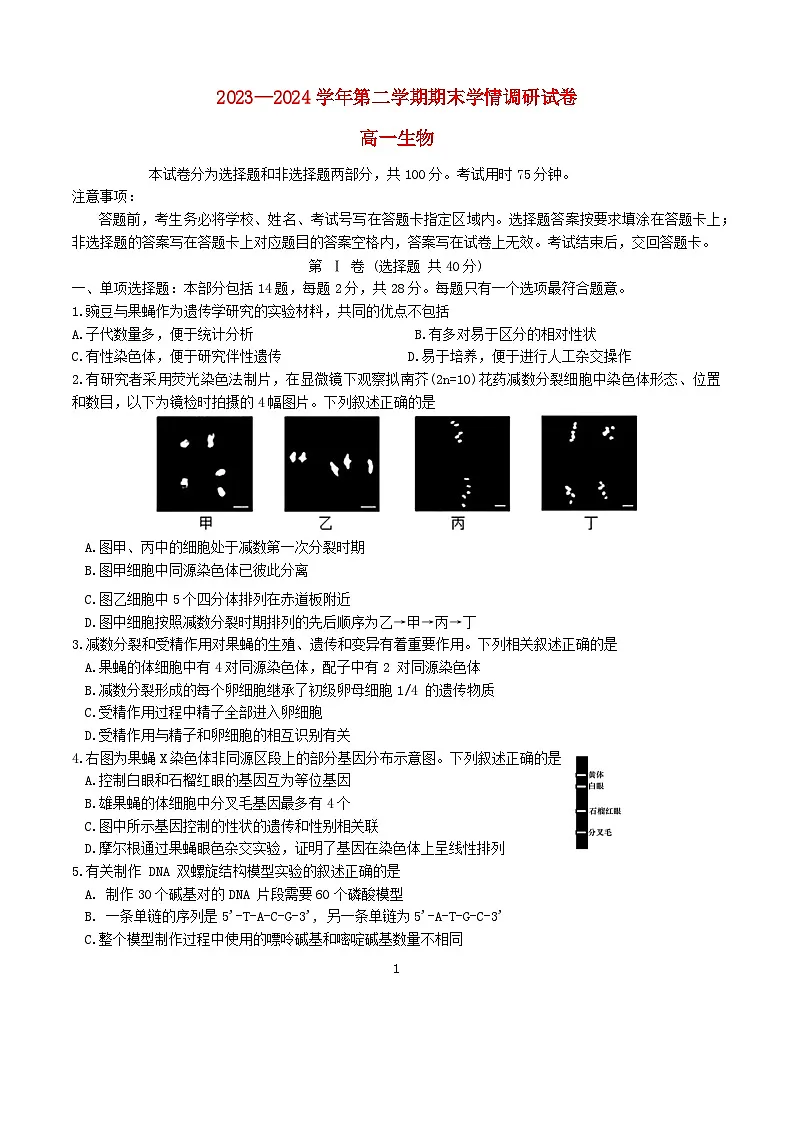 江苏省南京市江宁区2023_2024学年高一生物下学期期末考试第1页