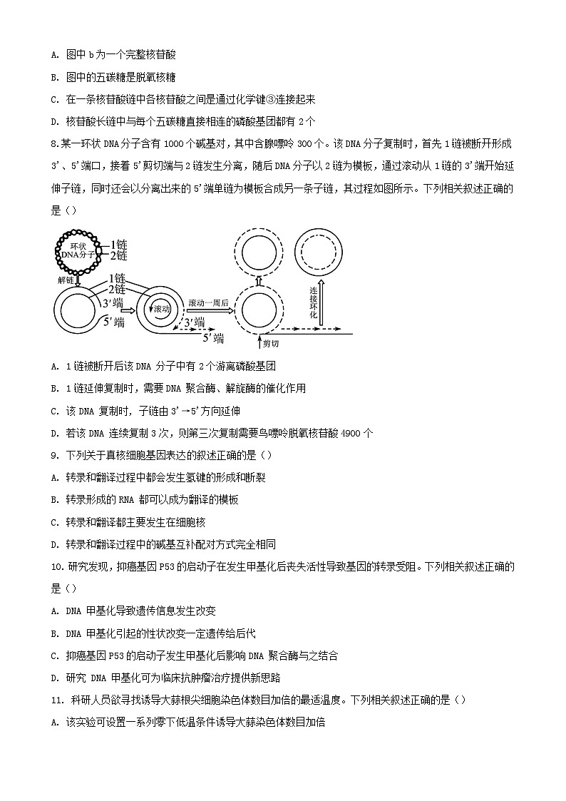 江苏省徐州市2023_2024学年高一生物下学期6月期末考试含解析第3页