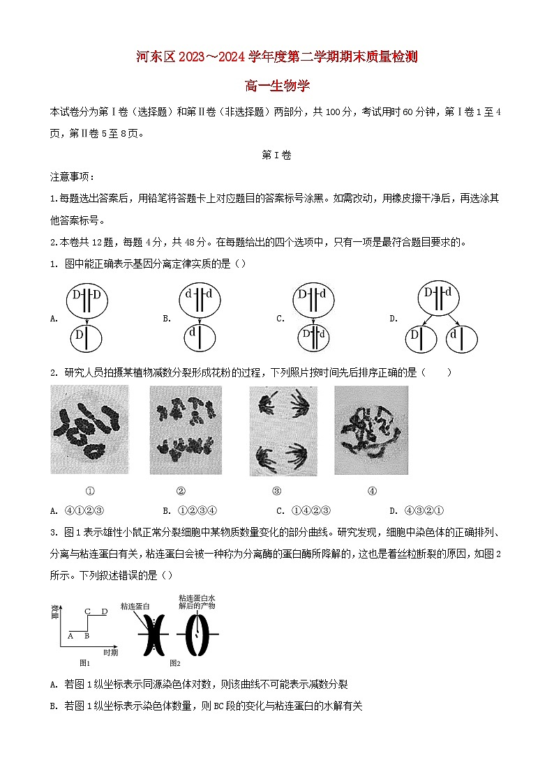 天津市河东区2023_2024学年高一生物下学期7月期末考试含解析第1页