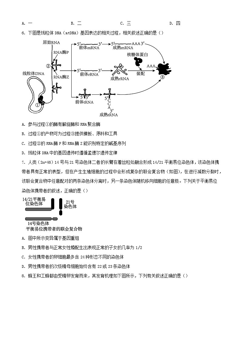 天津市河东区2023_2024学年高一生物下学期7月期末考试含解析第3页