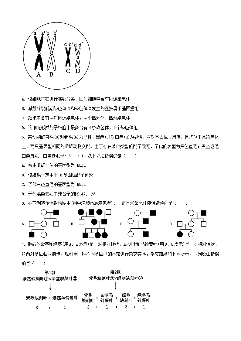 山东省枣庄市2023_2024学年高一生物下学期7月期末考试含解析第2页
