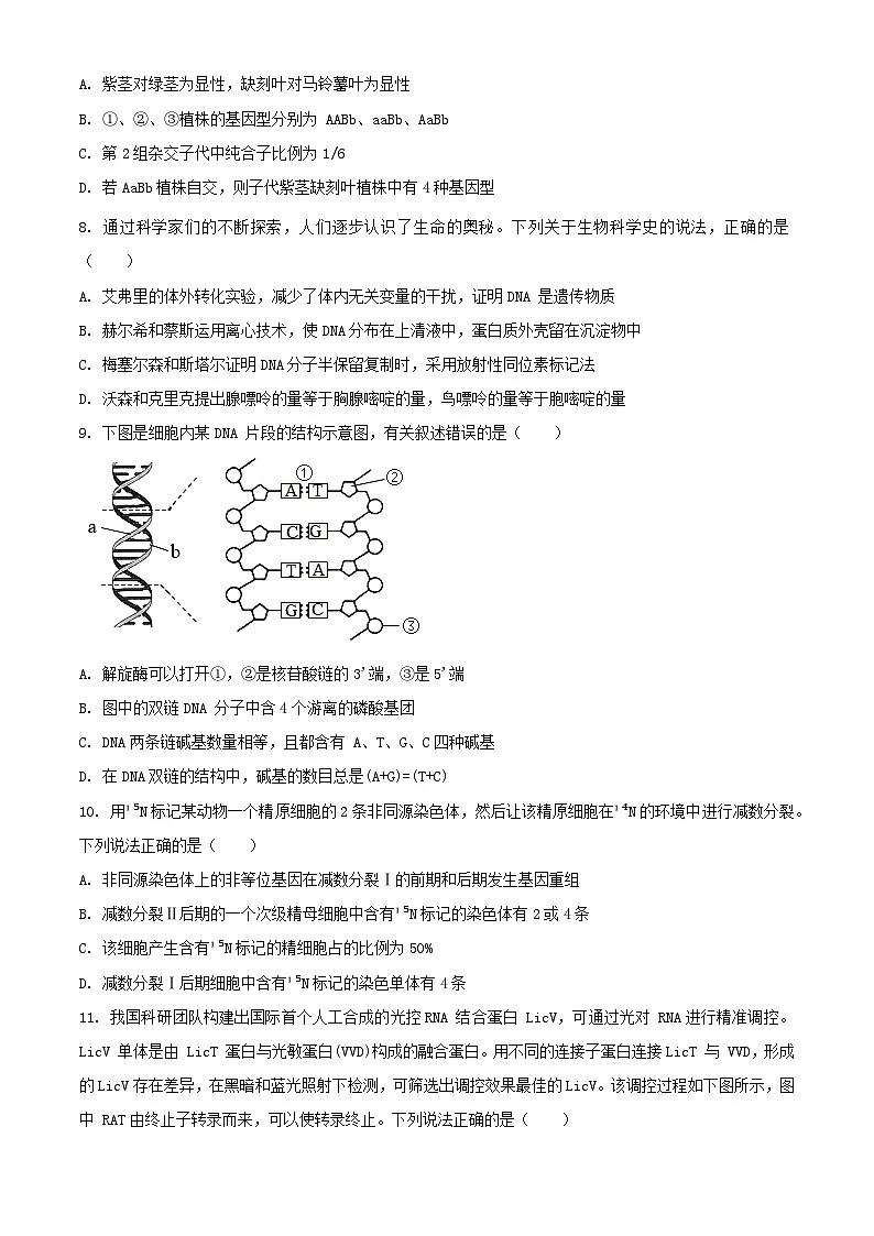 山东省枣庄市2023_2024学年高一生物下学期7月期末考试含解析第3页