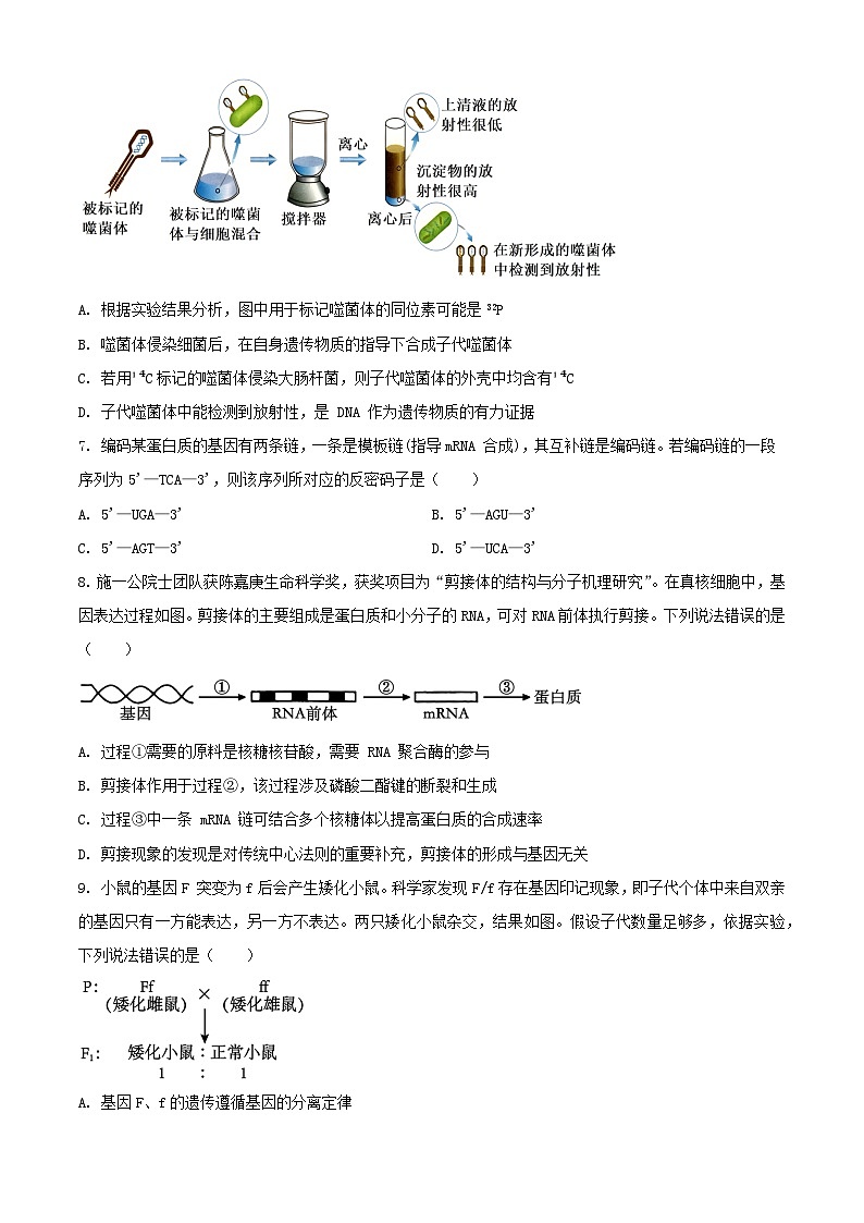 山东省淄博市2023_2024学年高一生物下学期7月期末考试含解析第3页
