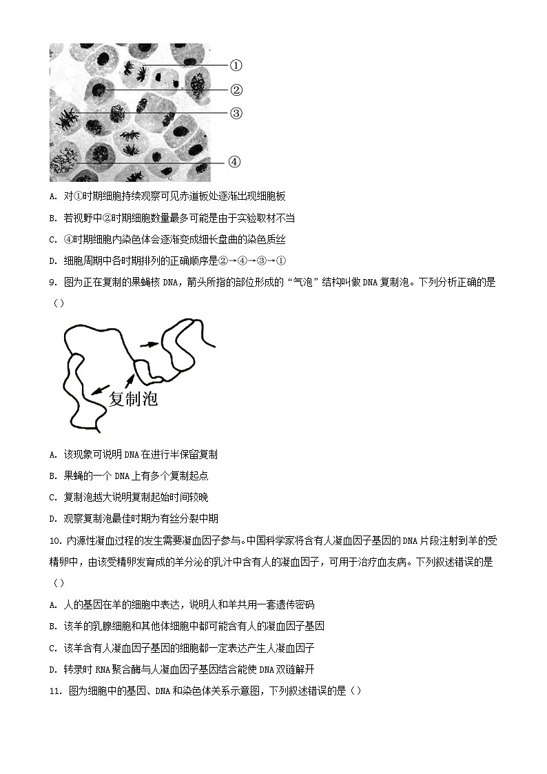 广东省江门市2023_2024学年高一生物下学期7月期末考试含解析第3页