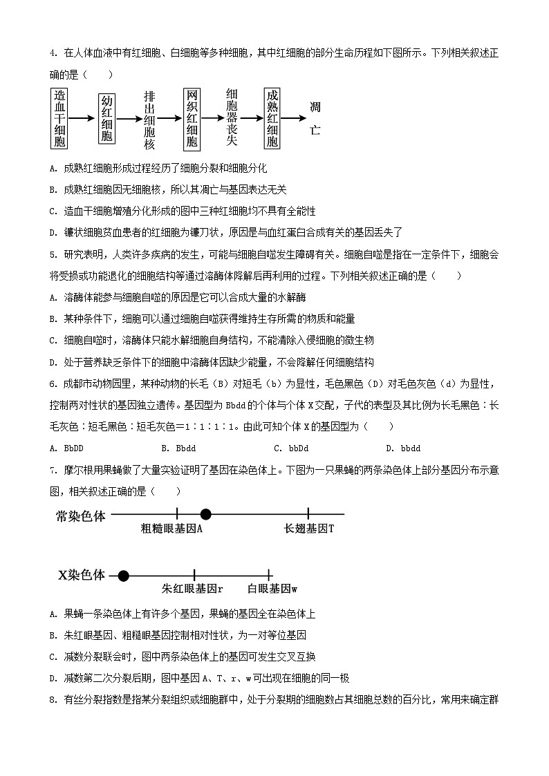 四川省广安市2023_2024学年高一生物下学期7月期末考试含解析第2页