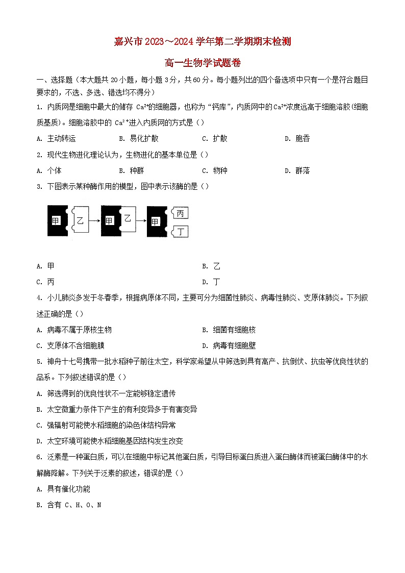 浙江省嘉兴市2023_2024学年高一生物下学期6月期末考试含解析第1页
