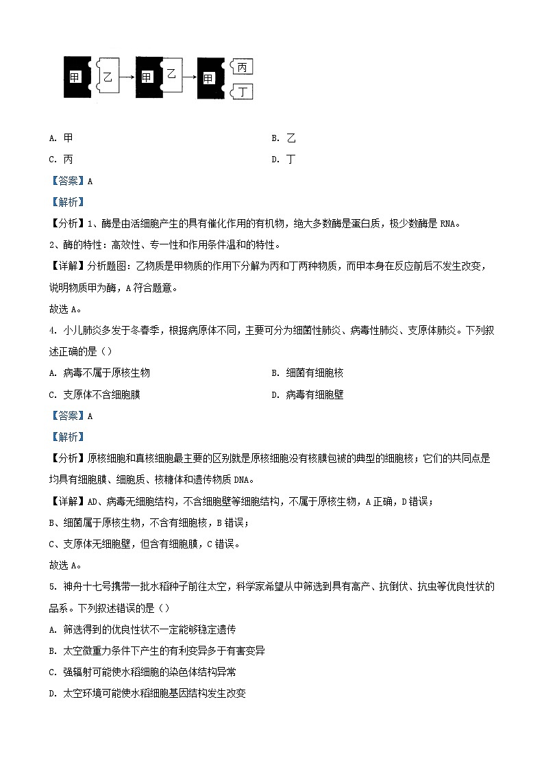 浙江省嘉兴市2023_2024学年高一生物下学期6月期末试题含解析第2页