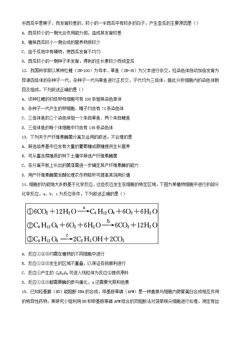 浙江省2023_2024学年高三生物下学期3月联考试题含解析第3页