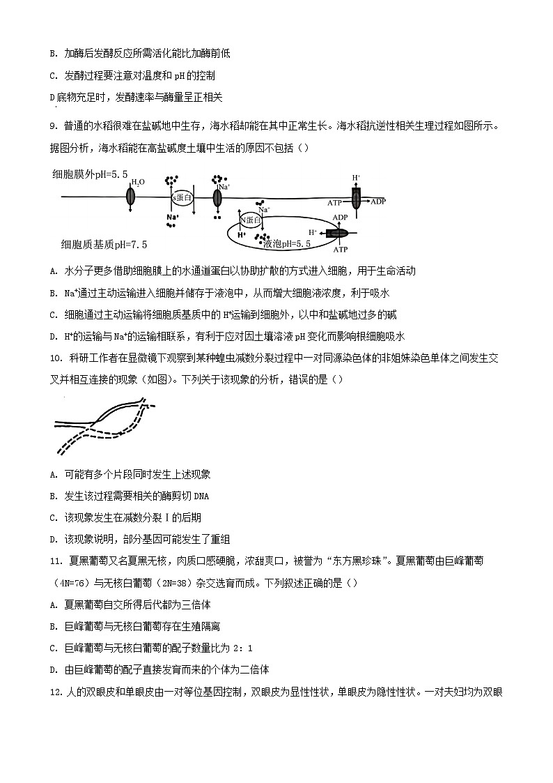 广东署山市2023_2024学年高一生物下学期7月期末考试含解析第3页