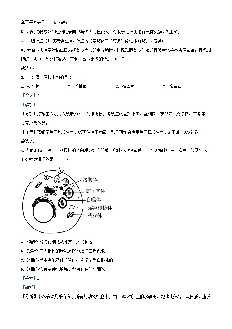 浙江省丽水市2023_2024学年高一生物下学期4月联考试题含解析第2页