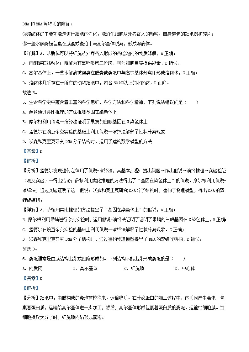 浙江省丽水市2023_2024学年高一生物下学期4月联考试题含解析第3页