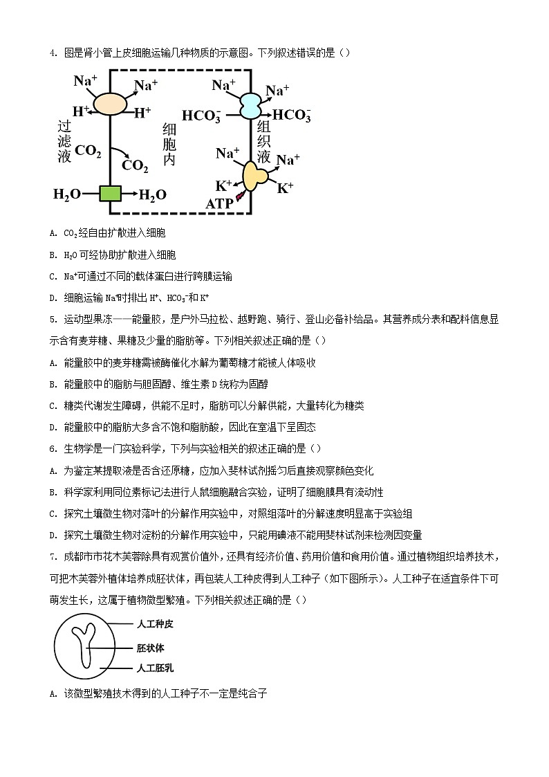 四川省雅安市2023_2024学年高二生物下学期期末考试含解析第2页
