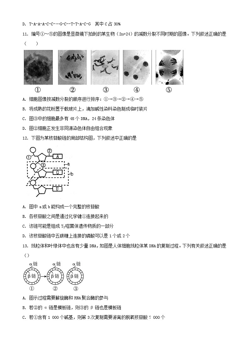 浙江省金华市2023_2024学年高一生物下学期4月期中试题含解析第3页