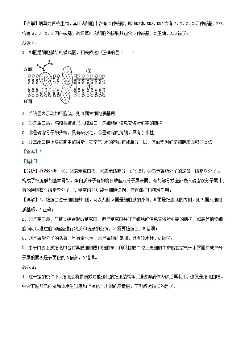 浙江省2023_2024学年高一生物下学期4月期中试题含解析第2页