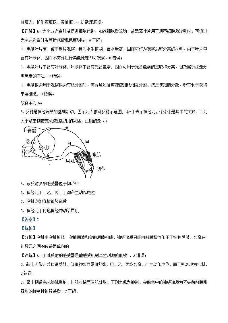 浙江省2024届高三生物下学期3月联考试题含解析第3页