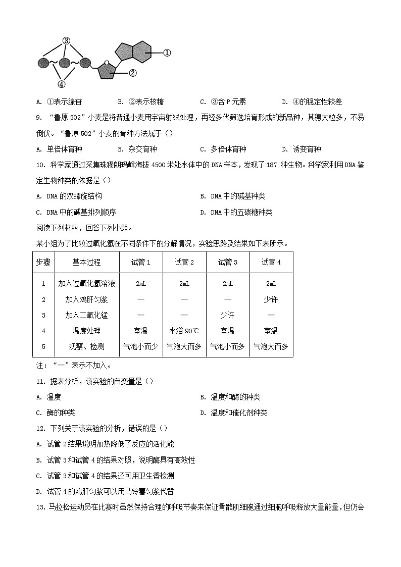 浙江省杭州市2023_2024学年高一生物下学期6月学考模拟考试试题第2页