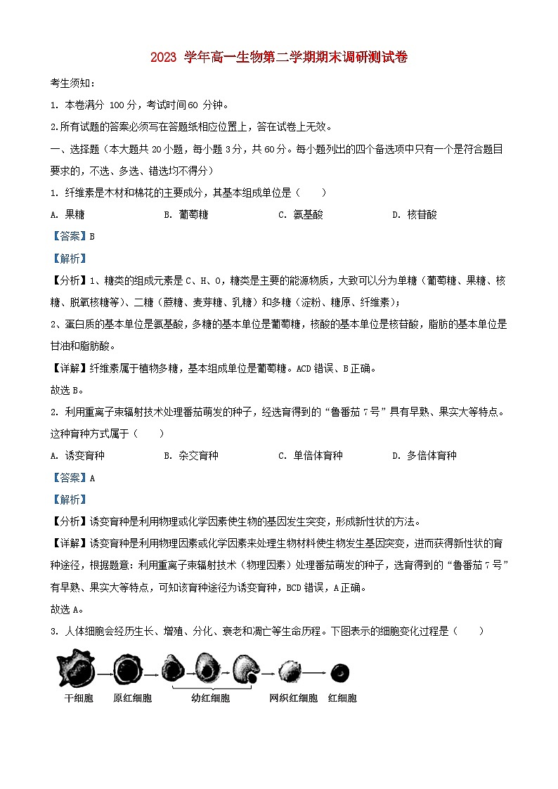 浙江省湖州市2023_2024学年高一生物下学期期末考试试题含解析第1页