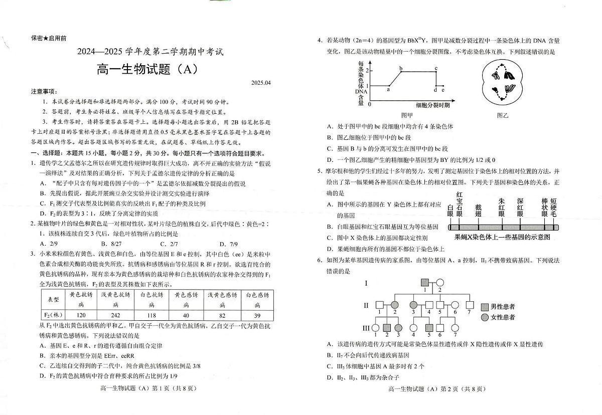 山东省菏泽市2024-2025学年高一下学期4月期中考试 生物（A）PDF版无答案第1页