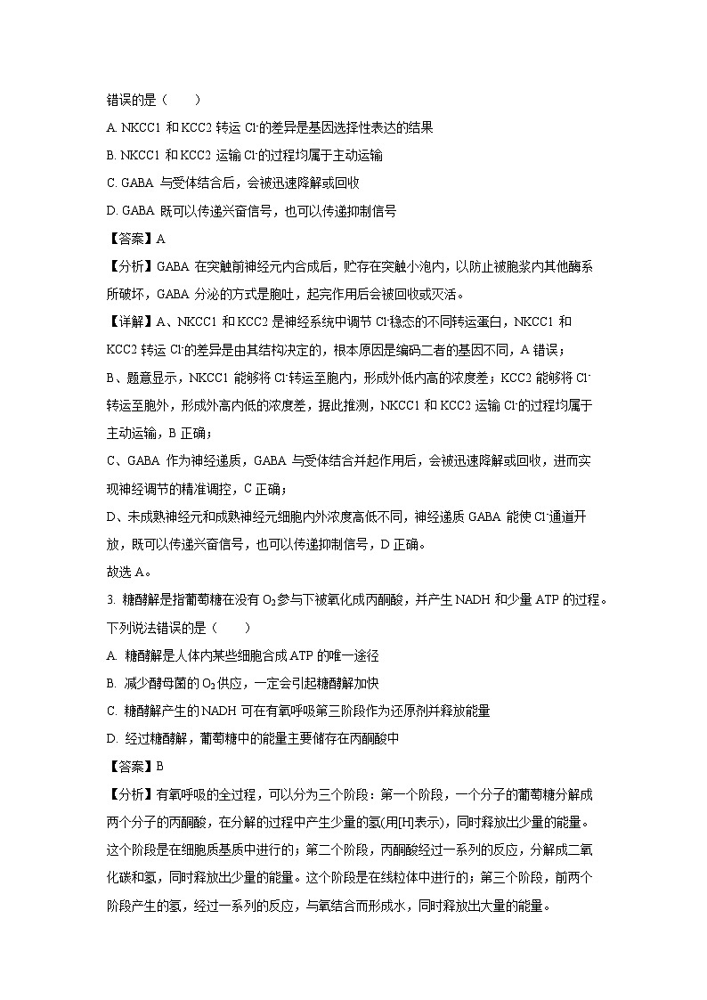 2025届山东省潍坊市高三二模生物试题（解析版）高考模拟第2页