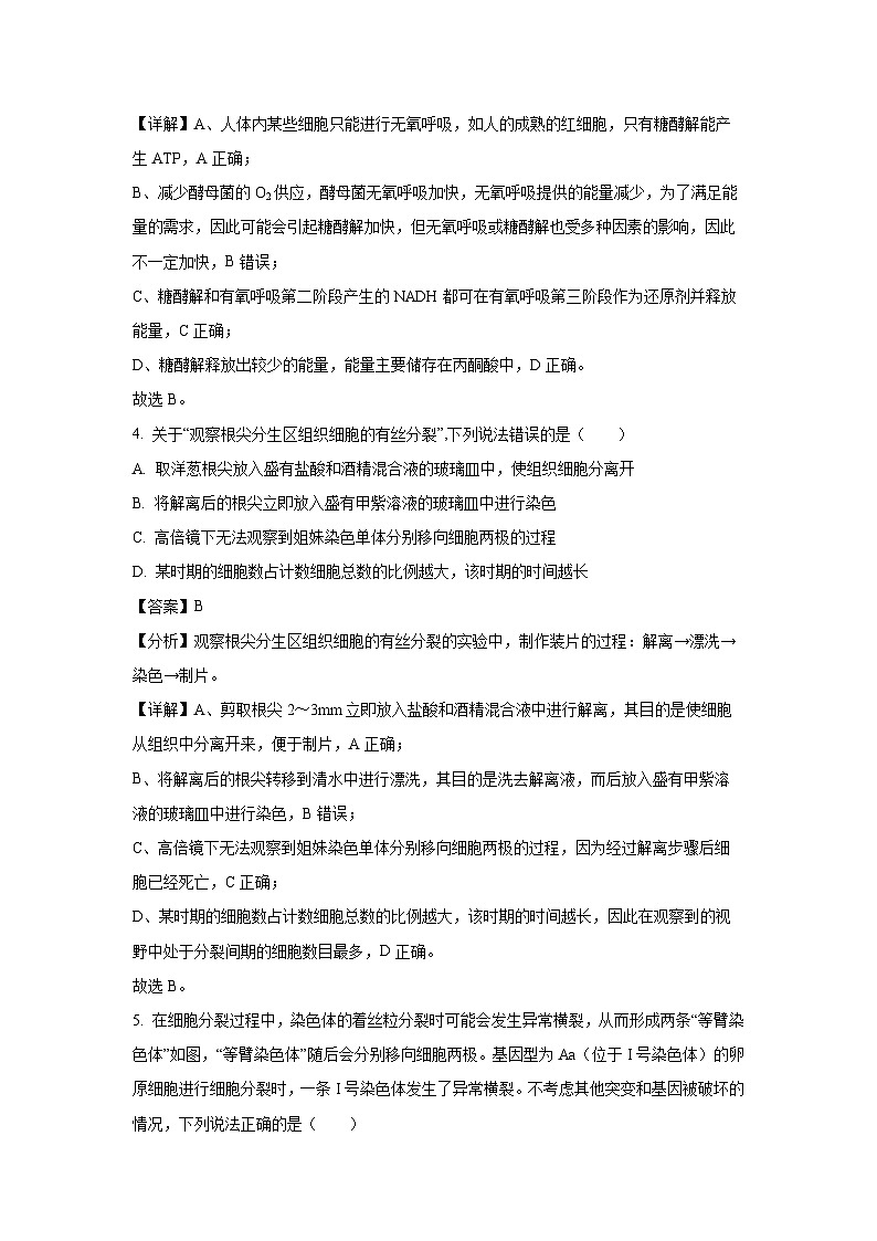 2025届山东省潍坊市高三二模生物试题（解析版）高考模拟第3页