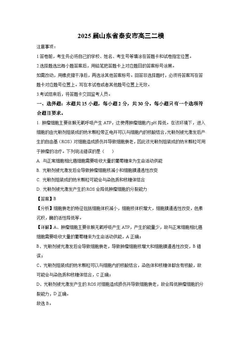 2025届山东省泰安市高三二模生物试题（解析版）高考模拟第1页