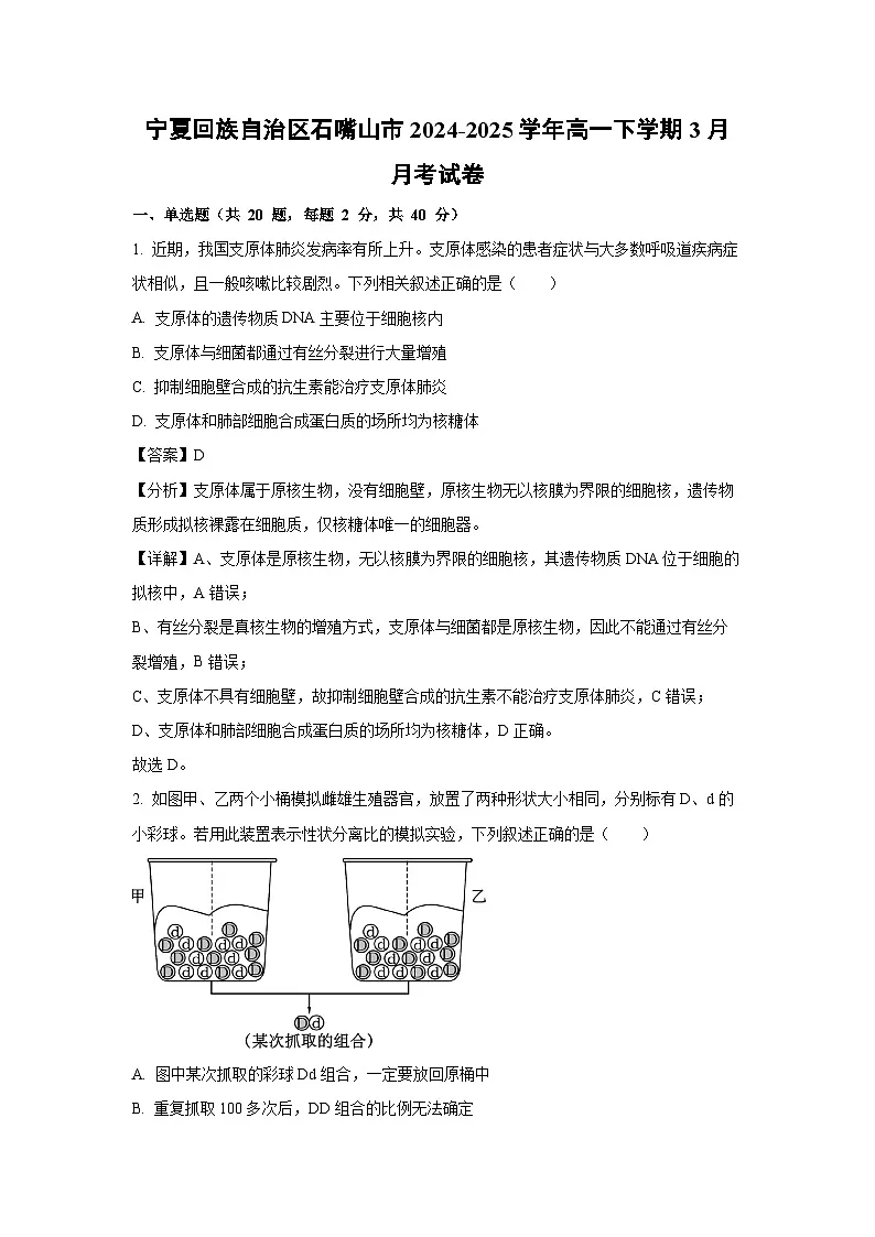 宁夏回族自治区石嘴山市2024-2025学年高一下学期3月月考生物试题（解析版）第1页