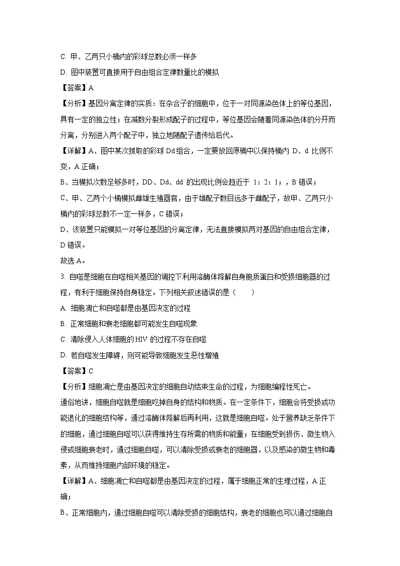宁夏回族自治区石嘴山市2024-2025学年高一下学期3月月考生物试题（解析版）第2页
