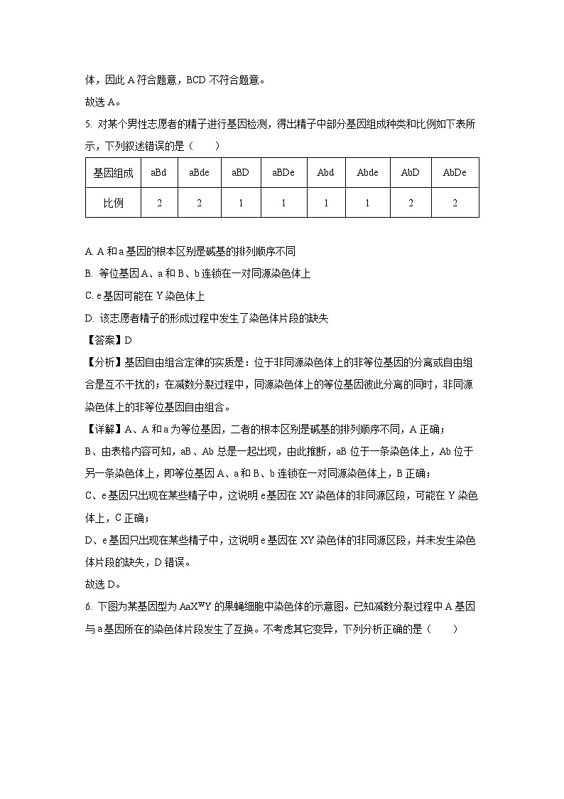河南省许昌市2023—2024学年高一下学期期末考试生物试题（解析版）第3页