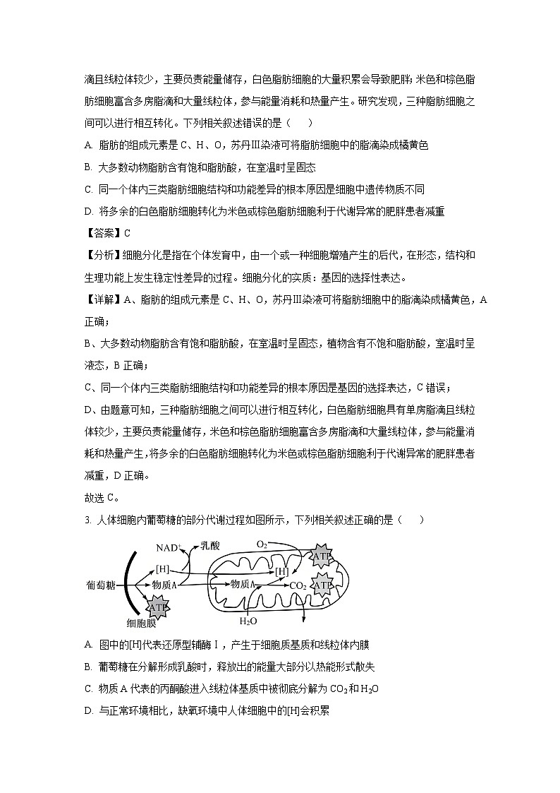 湘豫名校联考2025届高三第二次质量检测生物试题（解析版）第2页