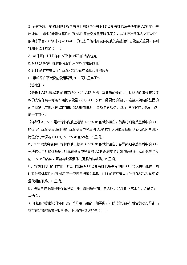 辽宁省2025届高三三模生物试题（解析版）第2页