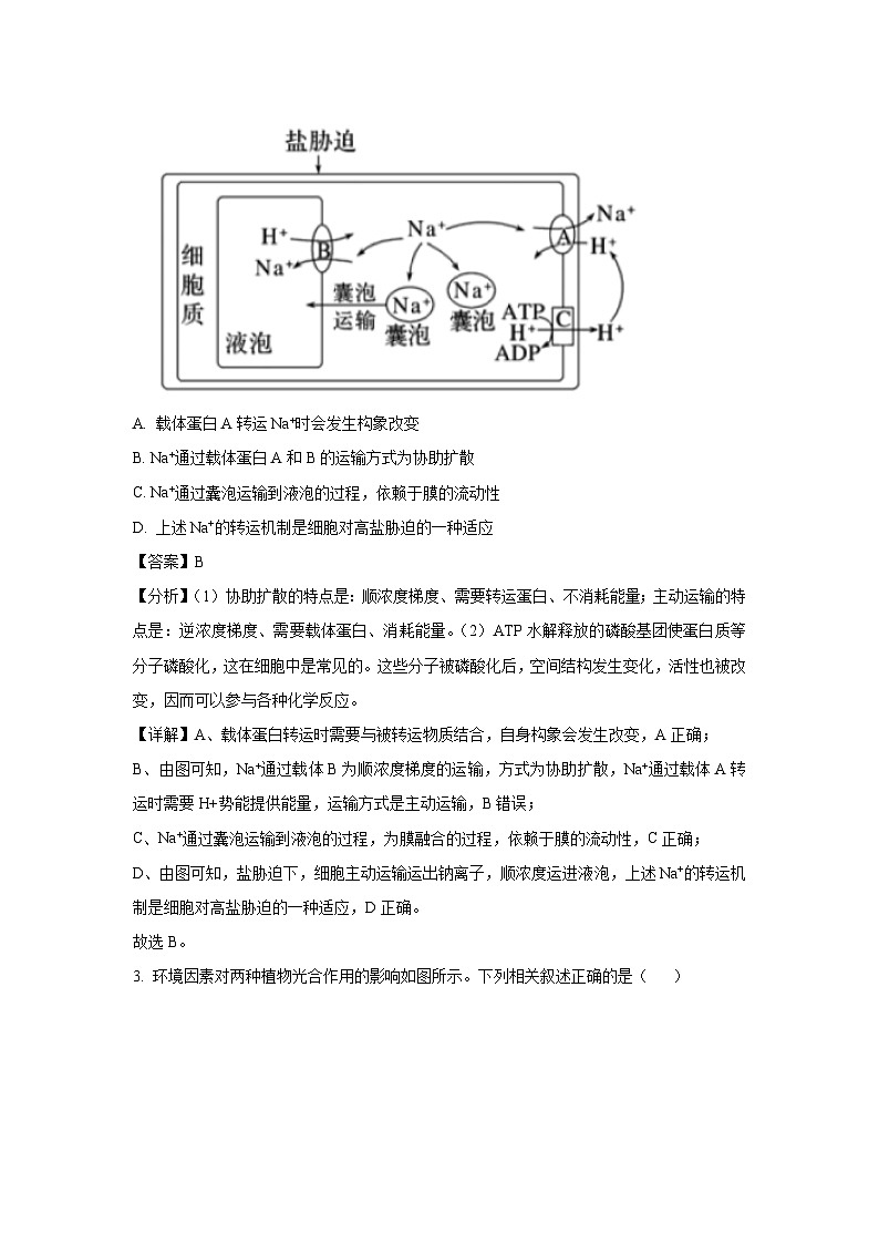 北京市房山区2025届高三下学期一模生物试题（解析版）第2页